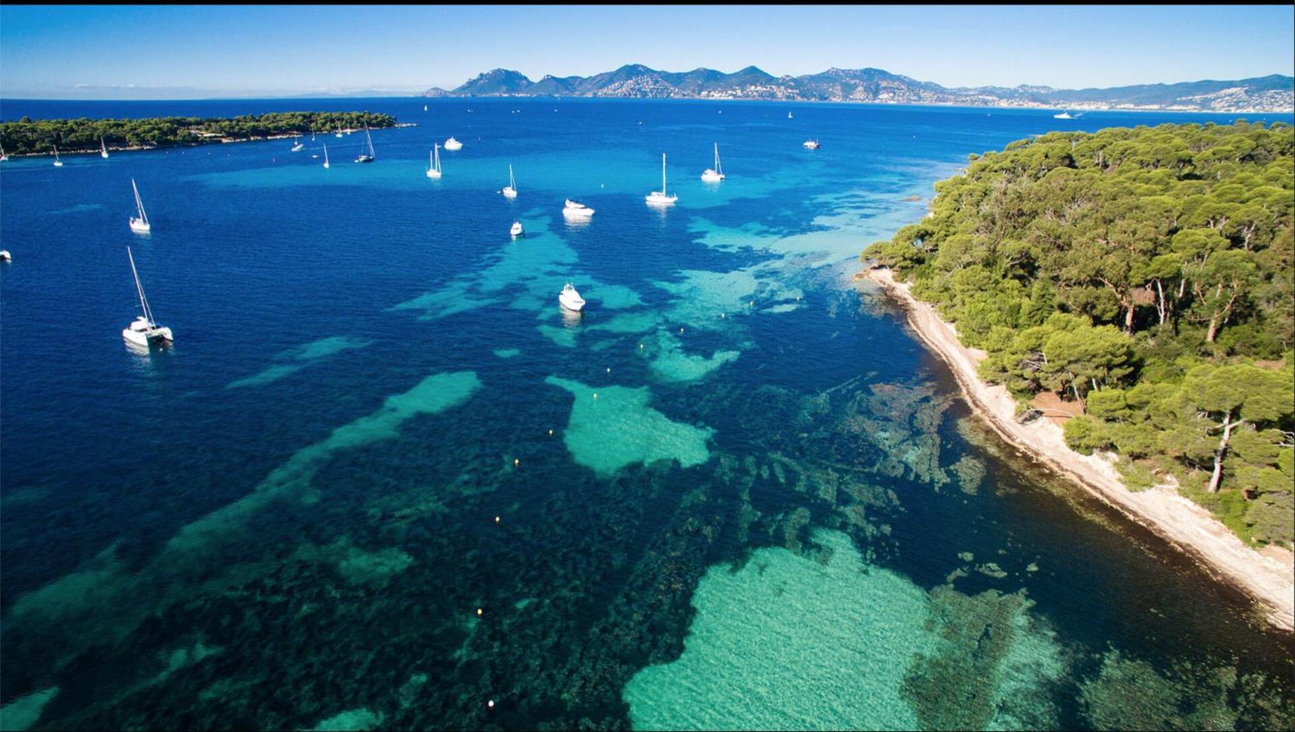 Apartament Le Bristol Cannes Zewnętrze zdjęcie